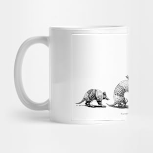 Armadillo Evolution Mug